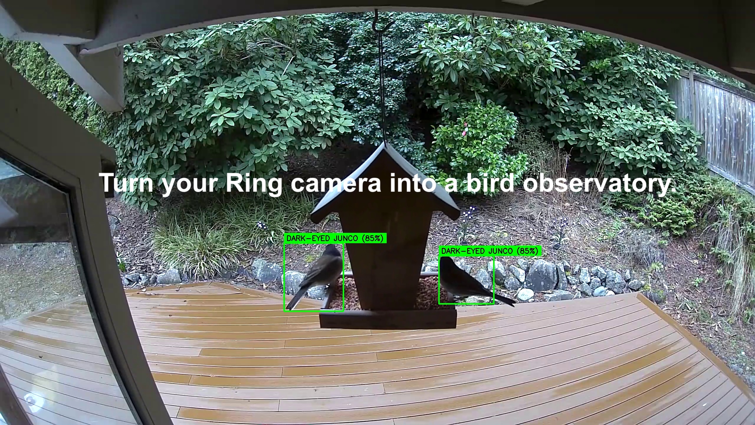 Localizer Array Birds What's That Bird.AI - AI-Powered Bird Detection